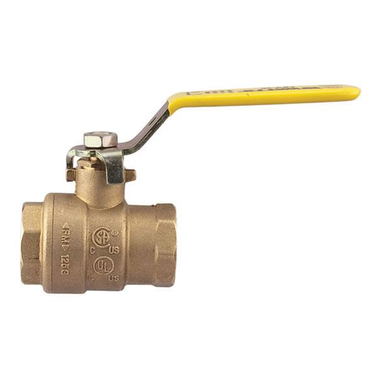 Watts 0547106 1 1/2 FBV-3C