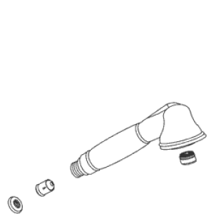 Kohler 1000996-CV - Chrome/ Polished Brass Spray/Screen