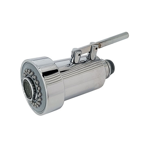 Paini - 53CR155556MNSF - Sprayhead (Chrome)