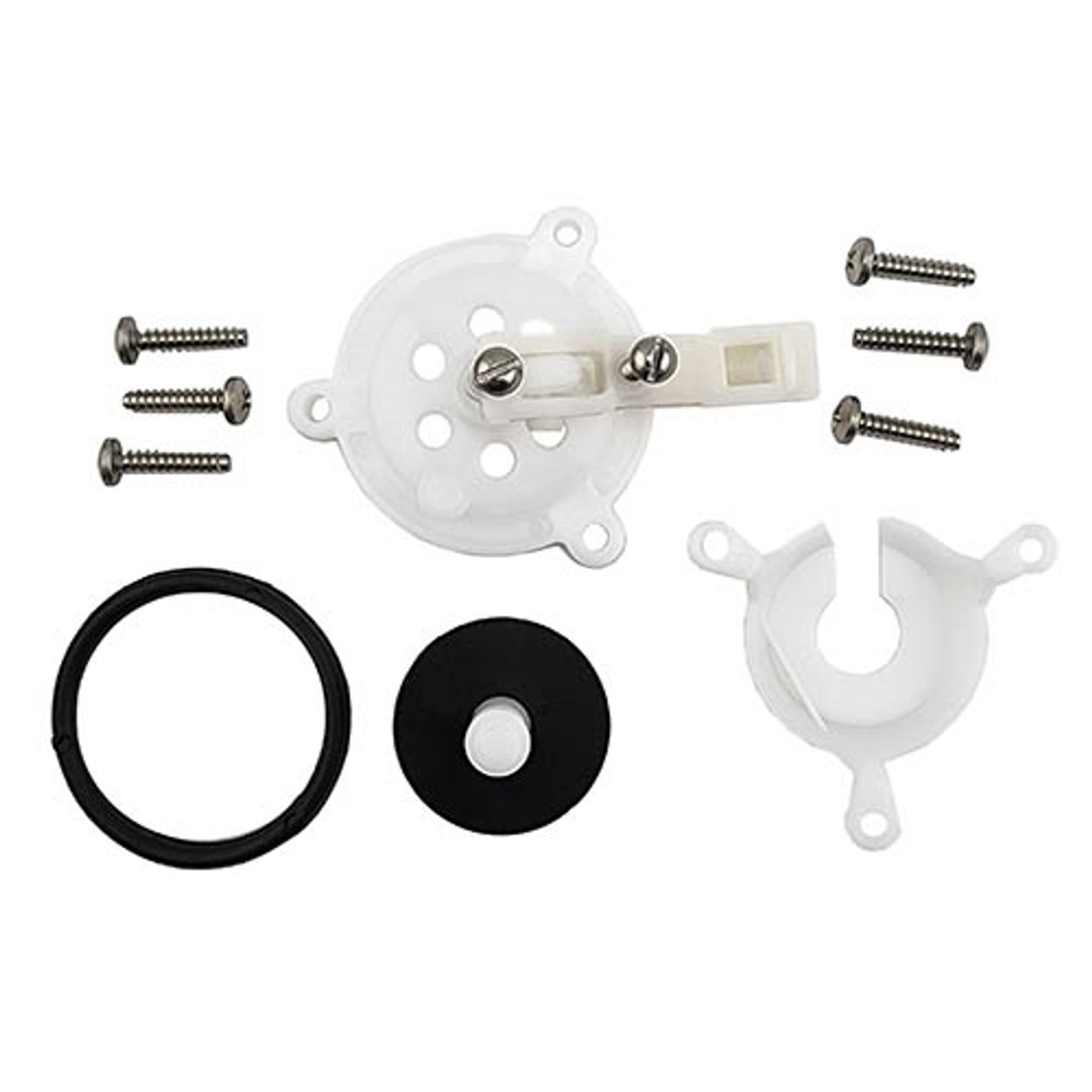 Cap and Plunger Kit for IB1X Ballcock