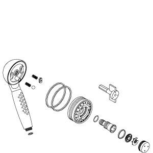 Kohler 1001717-CP - Hand Spray