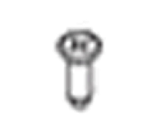 Pfister Faucets 971-0010 Screw #10 SELF TAPPING