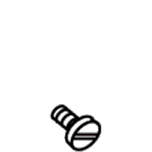 Kohler 29418-TG - Brite Gold Screw