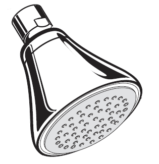 American Standard M953579-2950A Shower Head