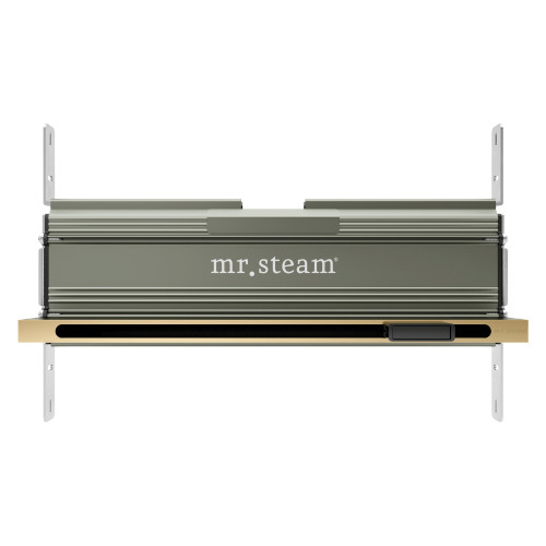 Mr. Steam 104480SB Linear 16 in. W. Steamhead with AromaTherapy Reservoir in Satin Brass