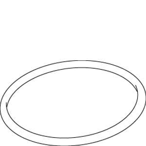 Kohler 49167 - Oring