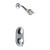 Chicago Faucets - 2502-600CP - Shower Fitting
