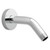 American Standard 1660.241 - Massage Showerhead