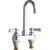 Chicago Faucets 895-E73-ABCP Sink Faucet