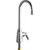 Chicago Faucet 350-E35XKABCP Sink Faucet