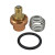 Watts LF70A-RK  - Repair Kit for 1/2 to 3/4 IN Lead Free Tempering Valve (125129)