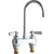 Chicago Faucets 895-E73-RGD2ABCP Sink Faucet