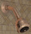 Jaclo - 8031-04-SM57 Tivoli SM57 Showerhead, Arm and Flange