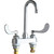 Chicago Faucet 895-317VPE67VPAAB Sink Faucet