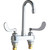 Chicago Faucet 895-317RGD1E72XKAB Sink Faucet