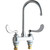 Chicago Faucet 895-317GN2AE65VPAB Sink Faucet