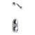 Chicago Faucets - 2502-CP - Shower Fitting