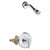 Chicago Faucets - T/P SHOWER VALVE