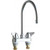 Chicago Faucet 1895-GN8AE35ABCP Sink Faucet