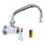 Fisher 37100 FAUCET SWCDLH 06SS