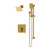 Symmons S3698BBZ15TRM Duro Shower and Hand Shower Trim with VersaFlex Integral Diverter, Brushed Bronze