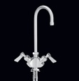 Gooseneck Spout