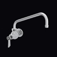 Single Wall Mount Faucets