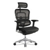 Ergohuman Elite High-back Chair, , Black Seat/black Back, Black Base