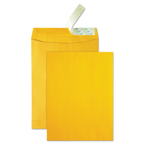 High Bulk Redi-strip Catalog Envelope, #13 1/2, Cheese Blade Flap, Redi-strip Closure, 10 X 13, Brown Kraft, 250/carton