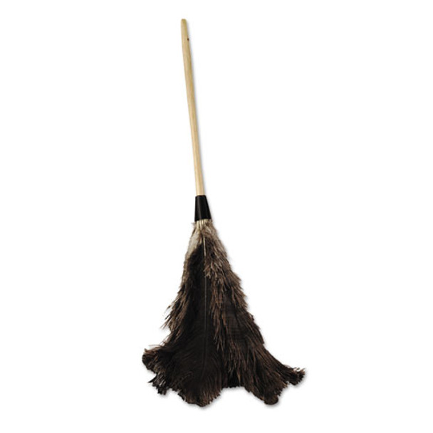 Professional Ostrich Feather Duster, 16" Handle - IVSBWK28GY