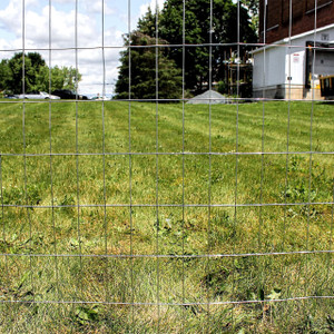 hot dipped fence lifestyle