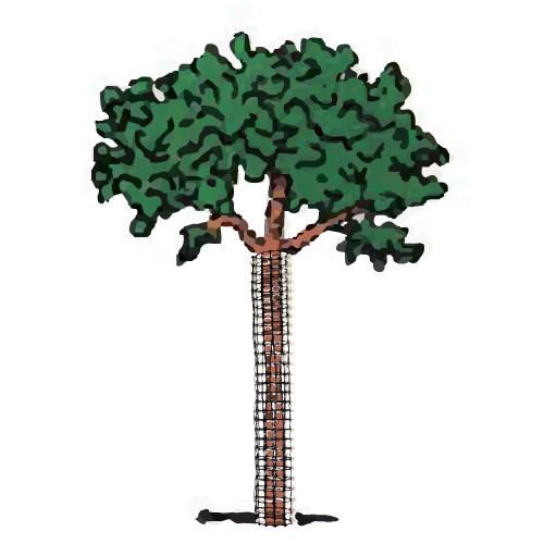 Sturdy Poly Mesh Tree Guard -24in Length - 4in Diameter (5 Pk)