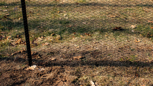 2' x 150' Steel Hex Web Blk PVC Coated Fence