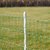 4' Poly Step-in Electric Fence Post White (50 Pack)