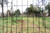 7.5' H Welded Wire Garden Fence Enclosure w/Top and Gate