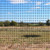 Deer Fence Reinforced Edge 6 x 330