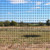 Deer Fence Reinforced Edge 8 x 100