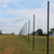 8' Heavy Duty Deer Fence Line Post- 7 Pack