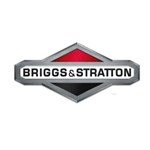 Briggs & Stratton