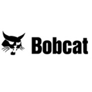 Bobcat