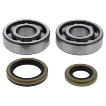 All Balls Crank Bearing and Seal Kit 24-1119 for Gas-Gas EC125 13 14 15