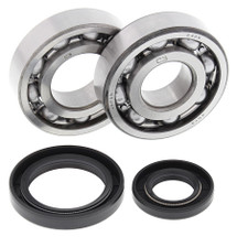 All Balls Racing Crank Bearing and Seal Kit 24-1017 For Suzuki RM 250 86-88