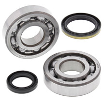 All Balls Racing Crank Bearing and Seal Kit 24-1060 For Suzuki RMX 250 95-99