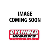 Standard Bore Cylinder Kit For Polaris RZR XP 4 Turbo 2016; CW60008K01-1