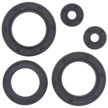 Winderosa Engine Oil Seal Kit For Polaris 822142