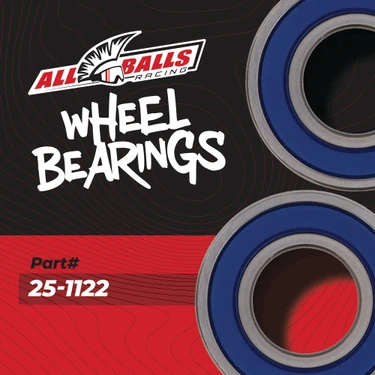 All Balls Wheel Bearing Seal Kit for Honda Suzuki