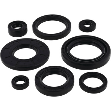 Vertex Engine Oil Seal Kit for Suzuki LT-500R 1987 500cc