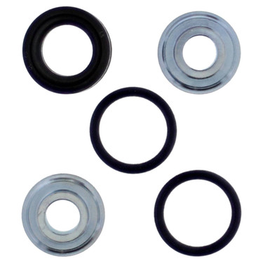 All Balls Rear Shock Bearing Kit 29-5081 for Beta Xtrainer 300 2015-2017