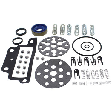 Pump repair Kit for Ford Holland Tractor - CKPN600A