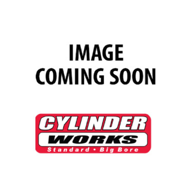 Standard Bore Cylinder Kit For Polaris ACE 900 EPS XC 2017-2019; CW60007K02-1